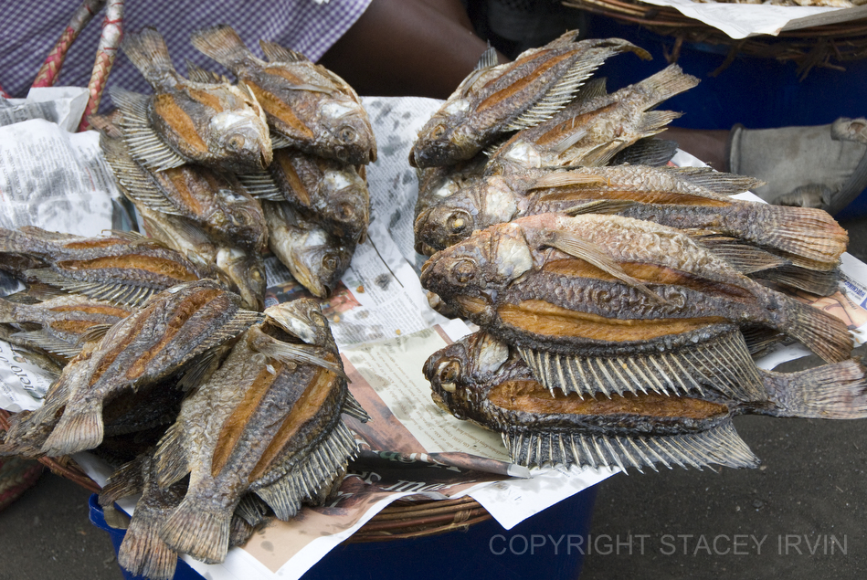 Dried fish for sale in Mbita, Kenya.