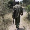Hippo and Crocodile Protection (thumbnail image)