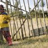 Waiting at the Gate (thumbnail image)