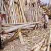 Lumber Market (thumbnail image)