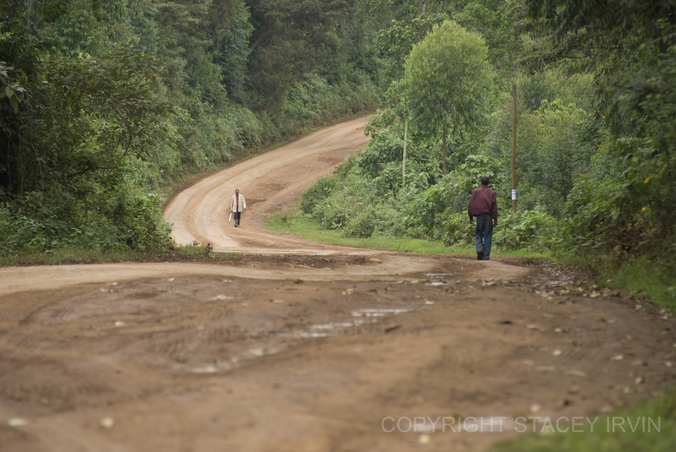 Scene on a road in the central highlands of Kenya, near Mt. Kenya.