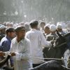 Donkey Market (thumbnail image)
