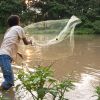 Río Pacayá (thumbnail image)