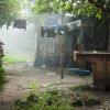 Laundry at Dawn (thumbnail image)
