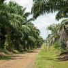 Long Road Home (thumbnail image)