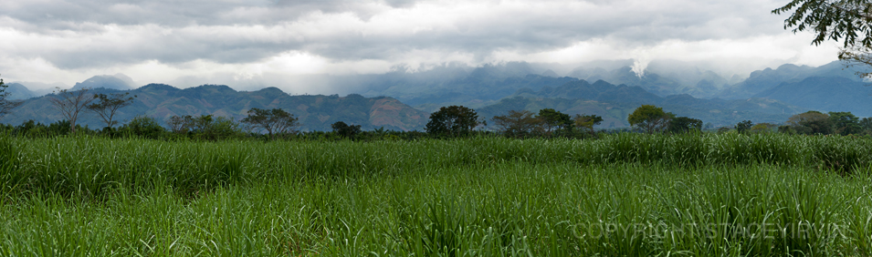 A vast expanse of sugar cane stretches across the landscape where 22 homes recently stood. All 114 homes that made up the Mayan community of Paraná were destroyed consecutively in 2011 by Chabil Utzaj, a large sugar can corporation that claims ownership of this land.