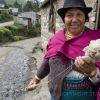 Homespun (thumbnail image)