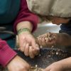 Salsa de Mani  (thumbnail image)