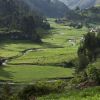 Through the Valley (thumbnail image)