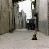 Old Town (thumbnail image)