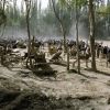 Donkey Market (thumbnail image)