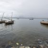 Lamu Boats