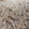 Mountain Grass in Spring