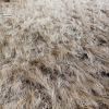 Mountain Grass in Spring